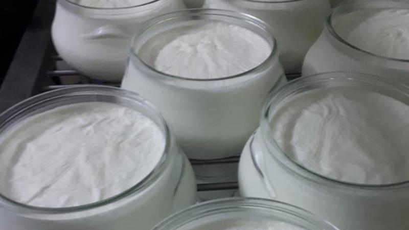 Afyonkarahisar Manda Yoğurdu