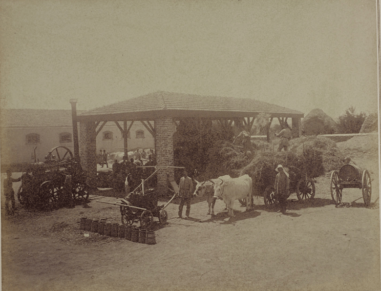 Ekran görüntüsü 2025-05-29 172759.png