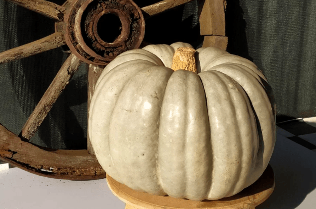 Ekran görüntüsü 2025-05-30 191205.png