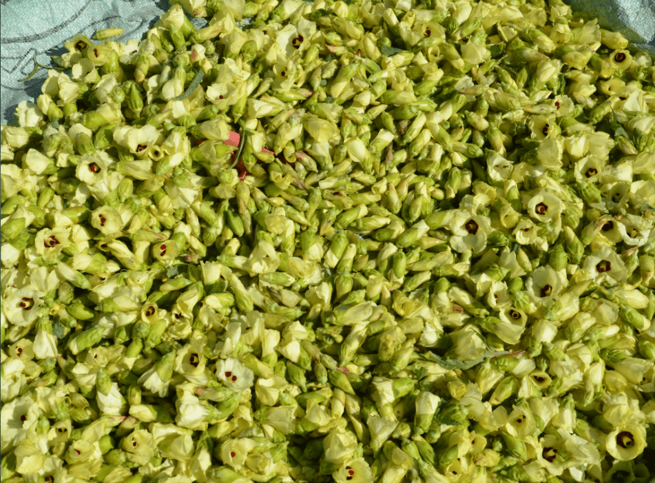 Ekran görüntüsü 2025-05-30 204358.png