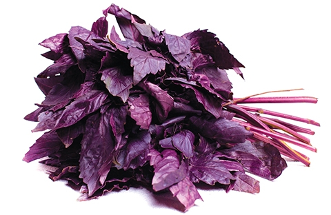 Arapgir Mor Reyhanı 