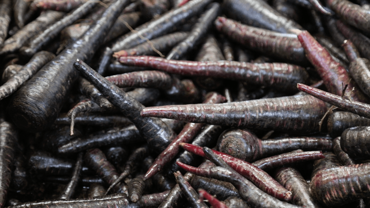 Ereğli Siyah Havucu