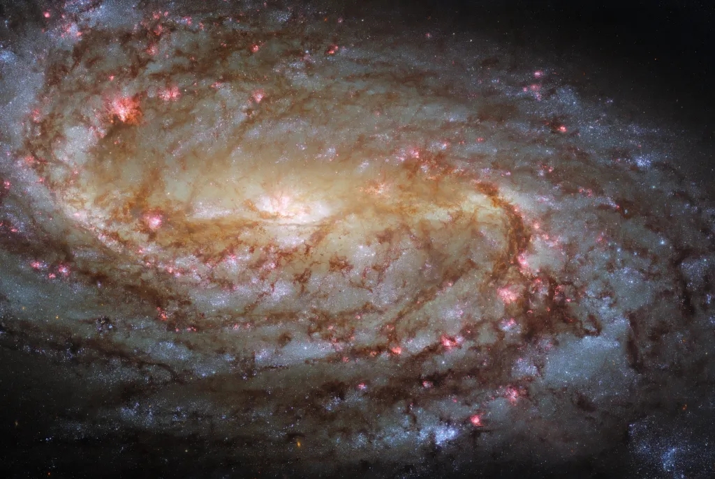 hubble_ngc2903_potw2143a.jpg-jpg.webp