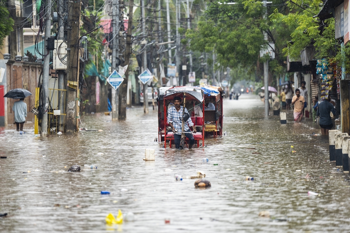 Hindistan Sel Felaketi (2025) image