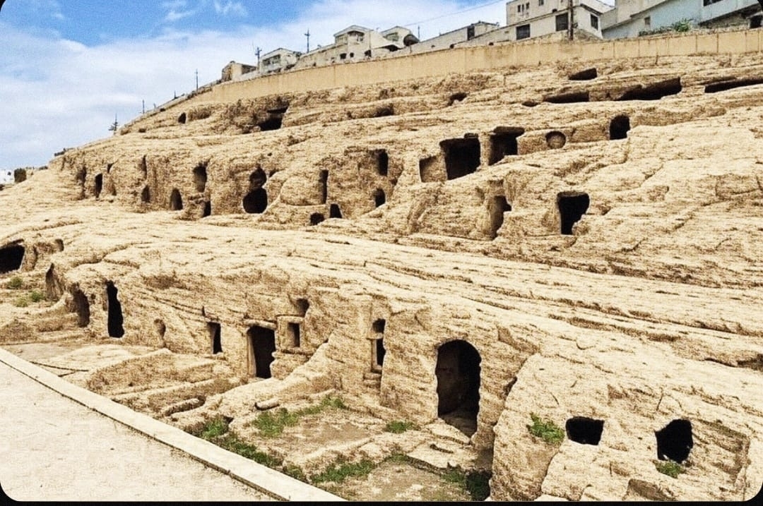 WhatsApp Image 2025-06-04 at 16.32.46.jpeg