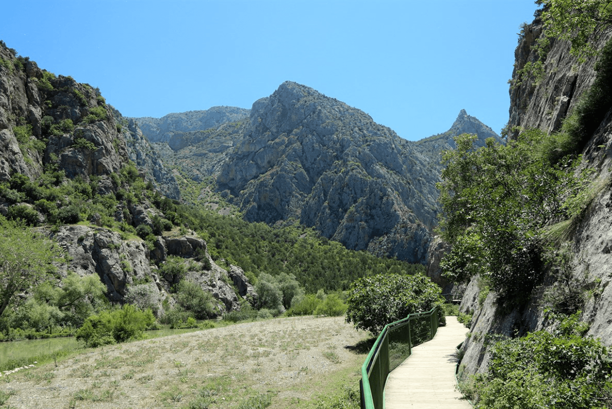 Ekran görüntüsü 2025-06-07 131636.png