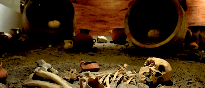 Ekran görüntüsü 2025-06-07 121330.png