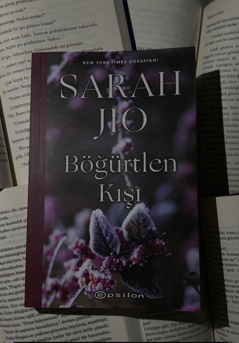 Böğürtlen Kışı (Kitap)