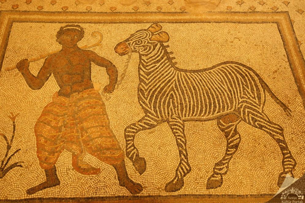 Haleplibahçe Mozaik Müzesi 