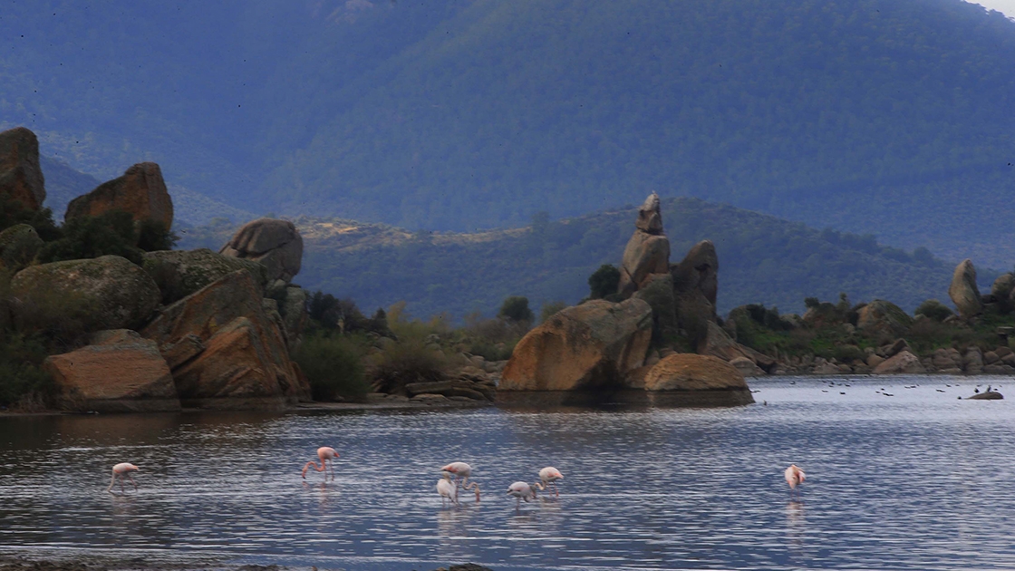 Bafa Gölü Tabiat Parkı