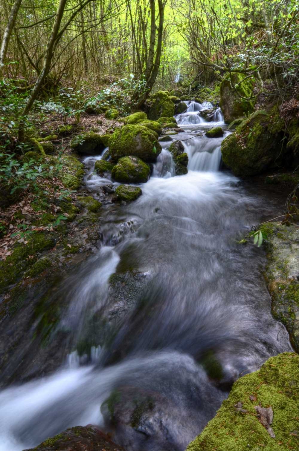 20181012103655810_Aydinpinar Selalesi_Ilhami AKTURK (3).jpg