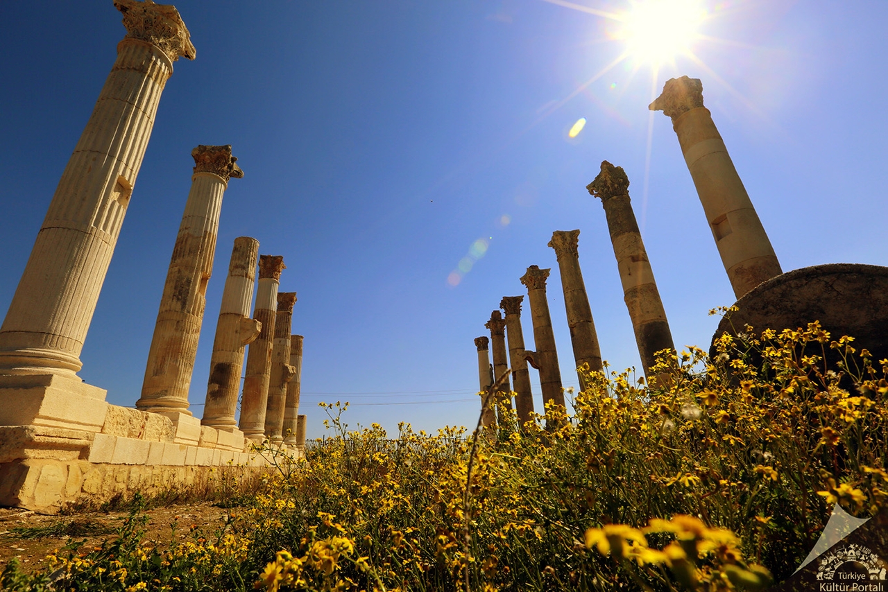 Soli-Pompeiopolis Antik Kenti