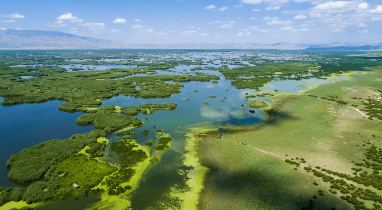 Ekran görüntüsü 2025-06-20 165659.png