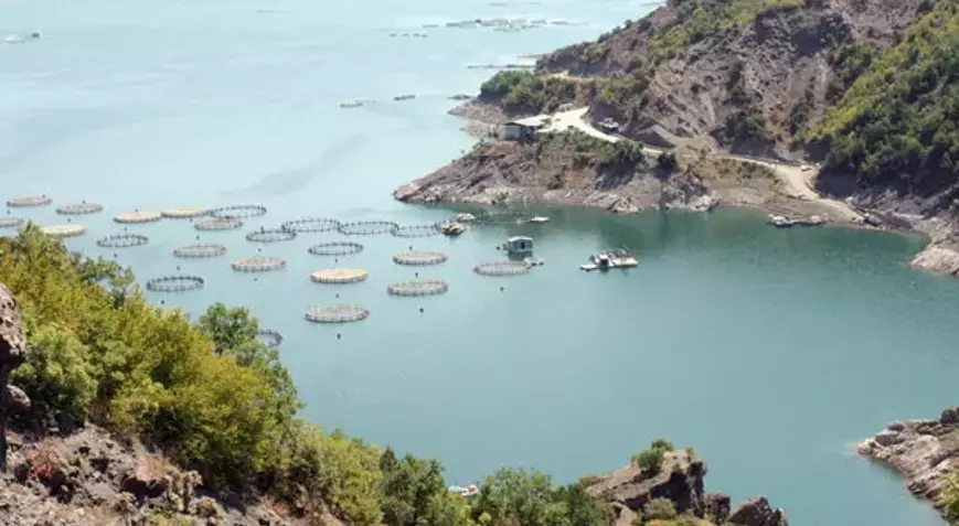 Tokat Almus Alabalık Çiftliği 