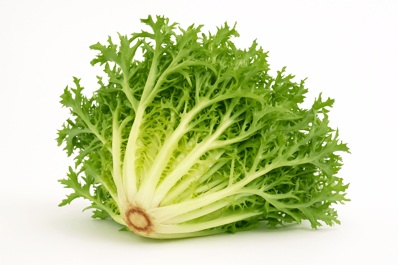 ChatGPT Image 22 Haz 2025 02_26_55.png