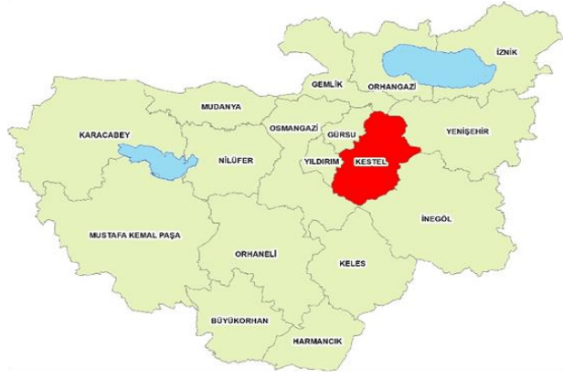 Ekran görüntüsü 2025-06-23 011618.png