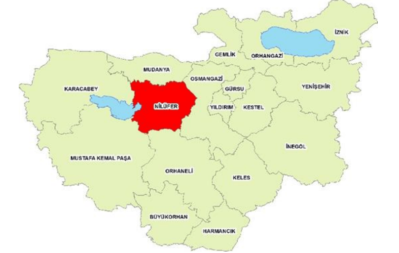 Ekran görüntüsü 2025-06-22 234742.png