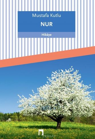 Nur (Kitap)