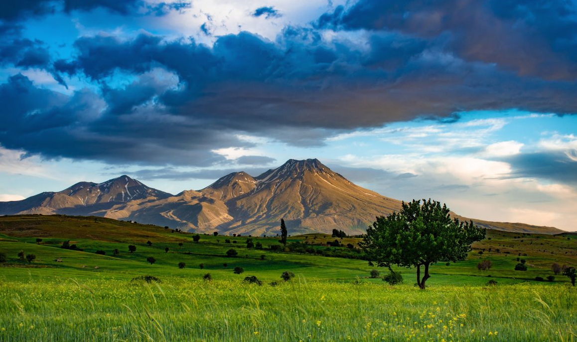 Gülağaç (District)