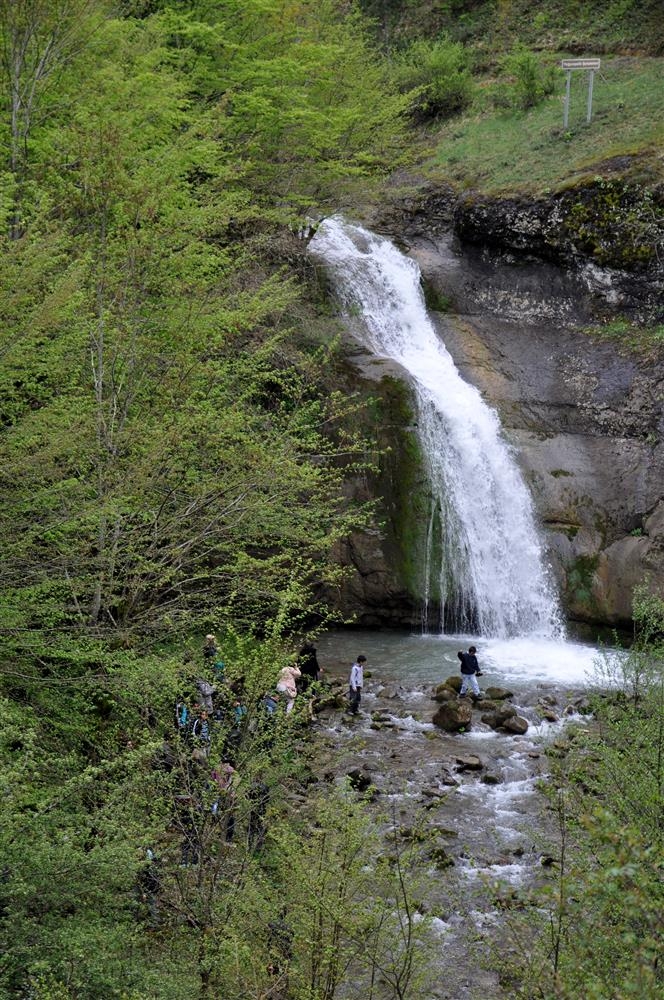 253533,yogunpelit-selalesi (2).png