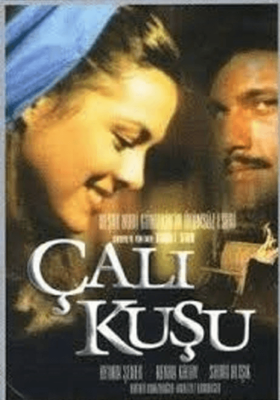 Çalıkuşu (Dizi, 1986)