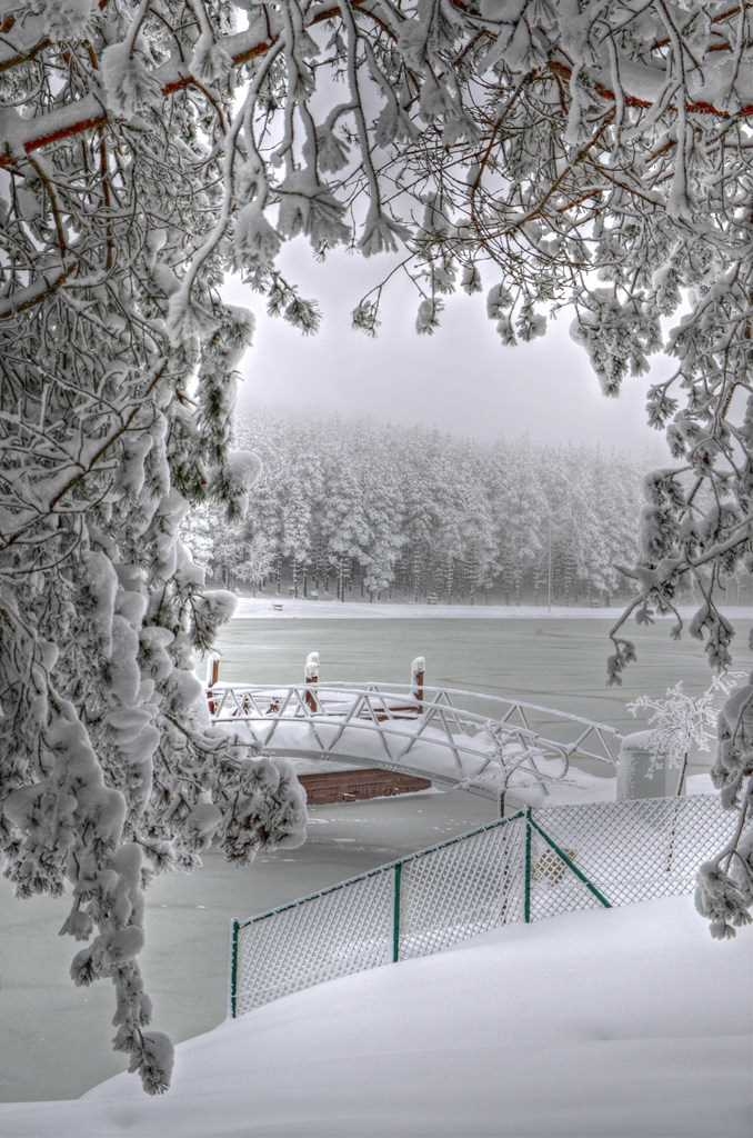 20160210135011191_DSC_1001 Ilhami AKTURK Topuk yayla.jpg