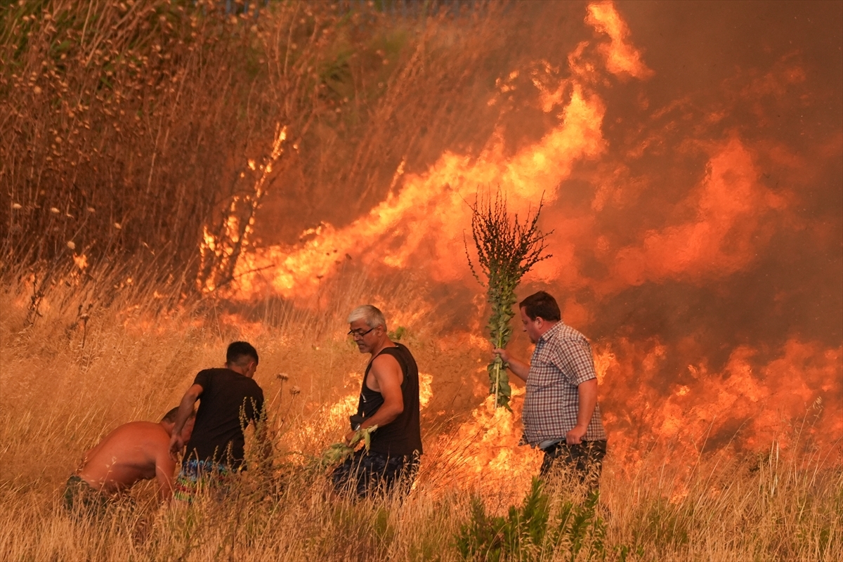 2025 Türkiye Orman Yangınları