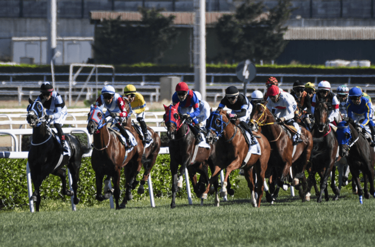 99. Gazi Koşusu image