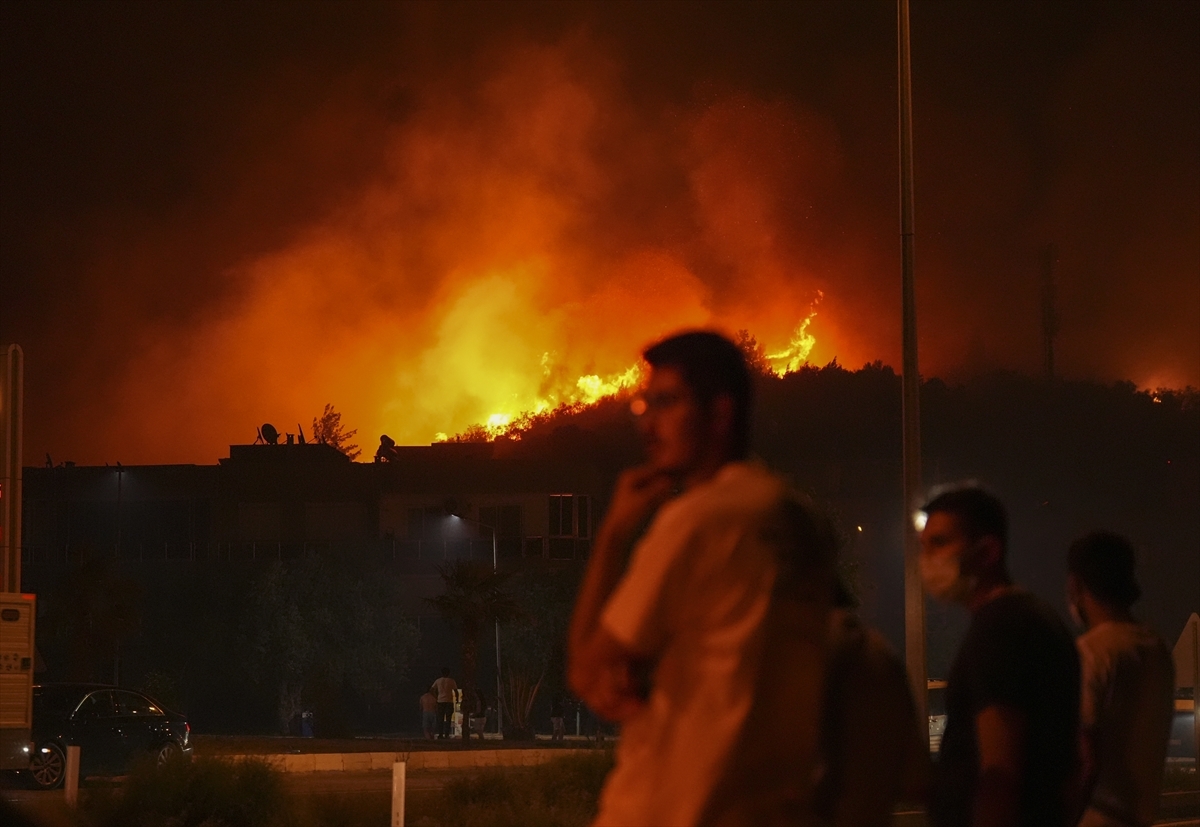 İzmir Orman Yangınları (Haziran-Temmuz 2025) image