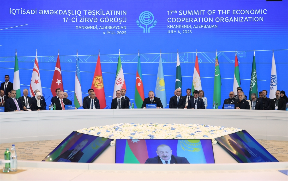 Organization for Economic Cooperation 17th Summit (2025) image