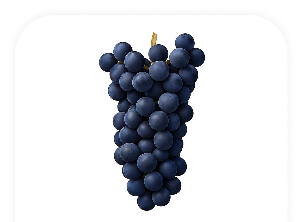 WhatsApp Image 2025-07-05 at 22.14.01.jpeg