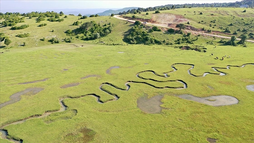 Karagöl Yaylası (Sakarya)