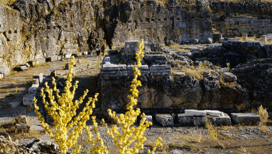 Ekran görüntüsü 2025-07-08 140742.png