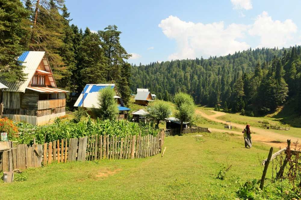 20170524143417800_DSC_2278   Kopya (2).jpg