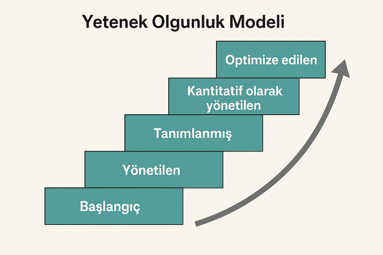 20250711_0035_Yetenek Olgunluk Aşamaları_simple_compose_01jzv45vpxe8zrc0kw3a2w61wj.png