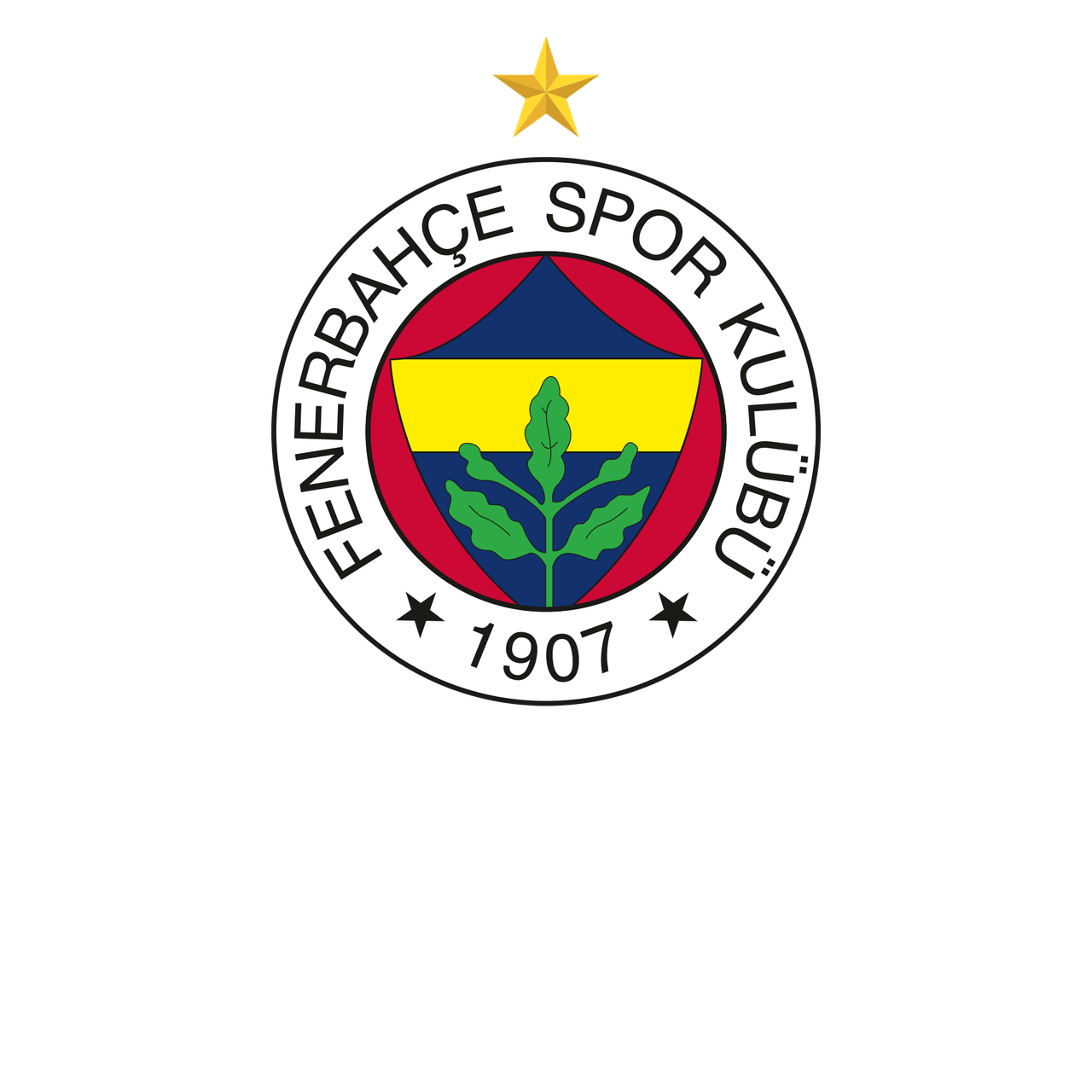 Fenerbahçe Beko - Yellow Star_WB.png