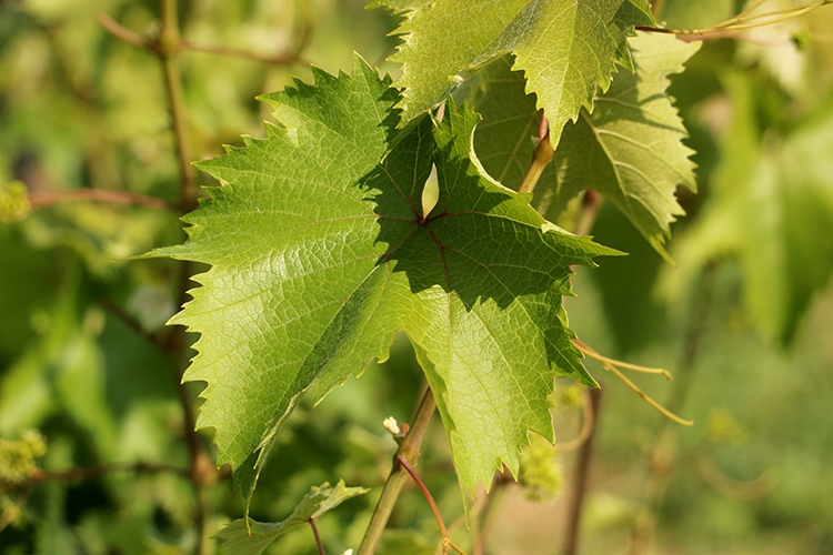 New folder_2025 haziran_19_20250619_2_69573280_114259269.jpg