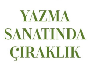 Learning the Art of Writing (Book)