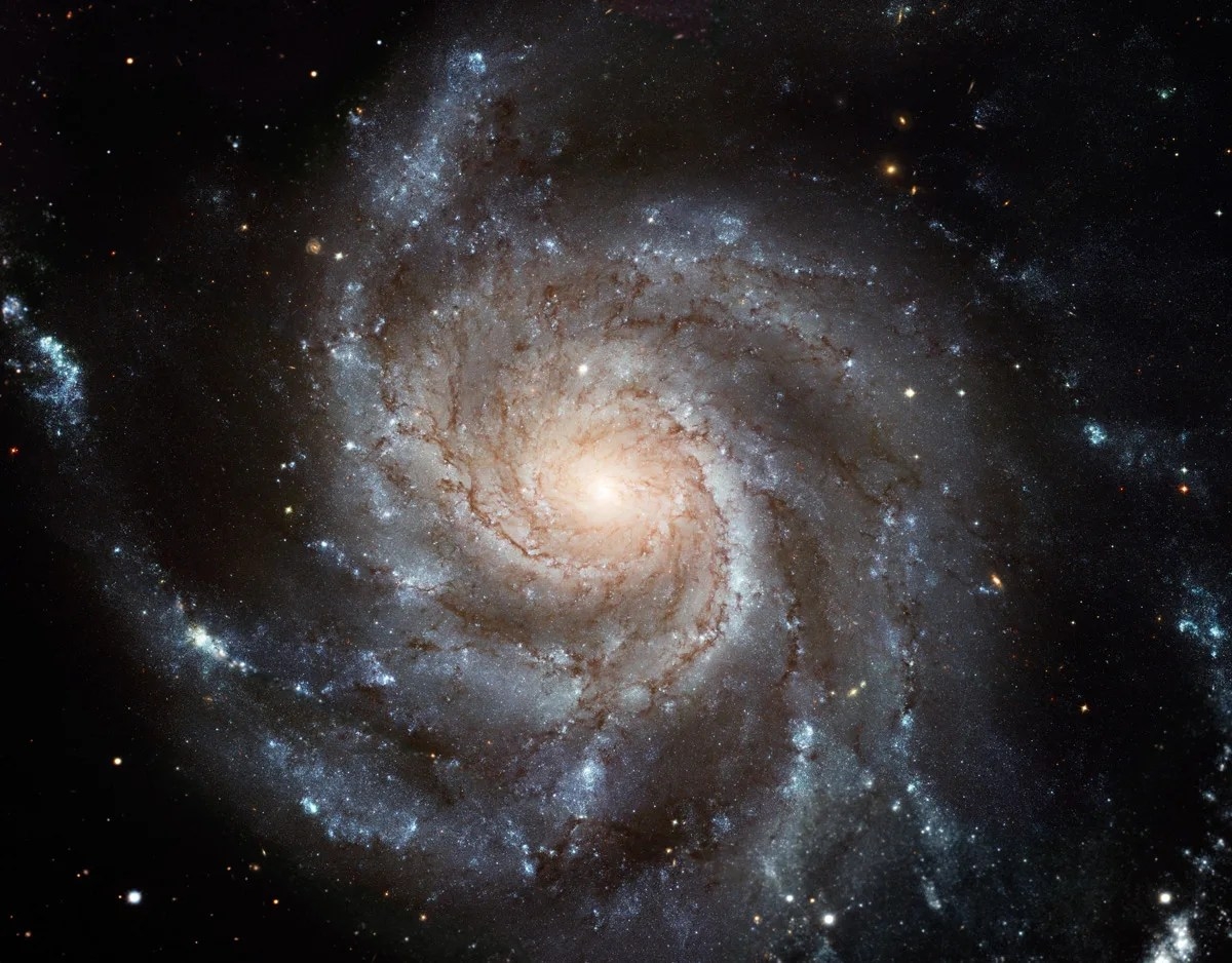 spiral-galaxy-jpg.webp