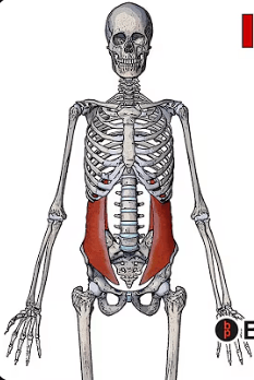 Ekran görüntüsü 2025-07-18 225004.png