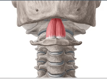 Ekran görüntüsü 2025-07-18 225004.png