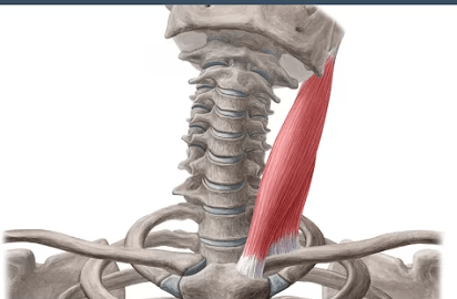 Ekran görüntüsü 2025-07-18 225004.png