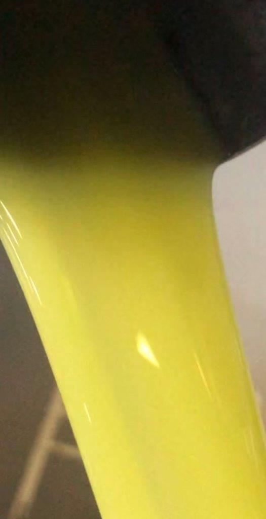 2a0fadd7-59f3-4b97-b6ec-64104b52f36e (1).jpeg