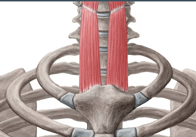 Ekran görüntüsü 2025-07-18 225004.png