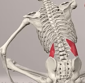 Ekran görüntüsü 2025-07-18 225004.png