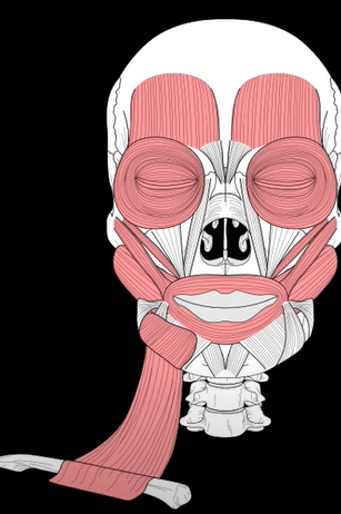 Ekran görüntüsü 2025-07-18 225004.png