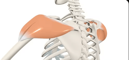 Ekran görüntüsü 2025-07-18 225004.png