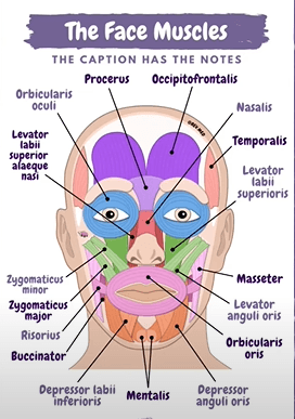 Ekran görüntüsü 2025-07-18 225004.png