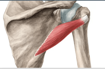 Ekran görüntüsü 2025-07-18 225004.png