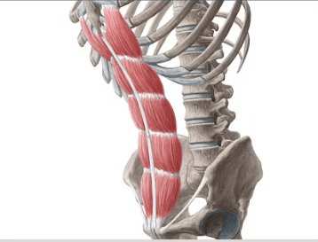 Ekran görüntüsü 2025-07-18 225004.png